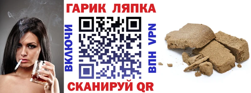 магазин  наркотиков  Светогорск  гидра как зайти  Гашиш индика сатива 