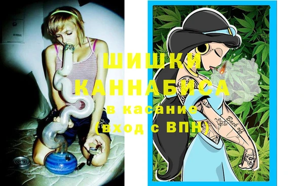 стаф Богородицк