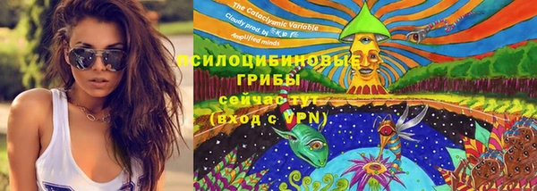 PSILOCYBIN Богданович