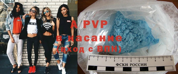 PSILOCYBIN Богданович