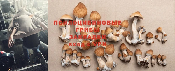 винт Богородск