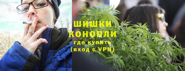 шишки Протвино