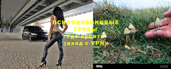 винт Богородск