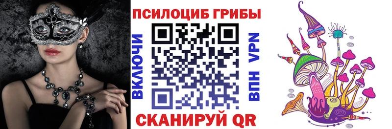 Псилоцибиновые грибы Psilocybe Светогорск