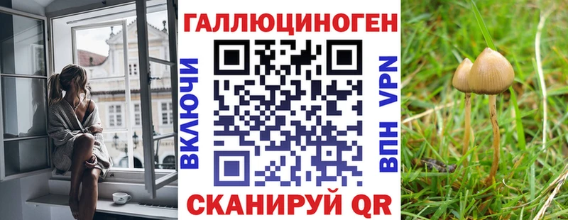 наркошоп  Светогорск  Галлюциногенные грибы MAGIC MUSHROOMS 