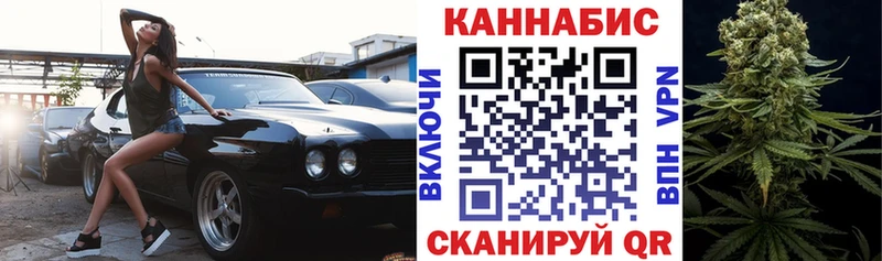 Бошки марихуана OG Kush  купить наркотик  Светогорск 